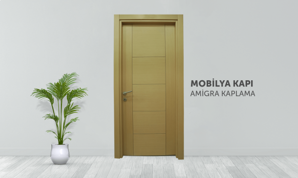 MOBİLYA KAPI